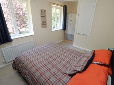 Picture 13